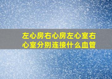 左心房右心房左心室右心室分别连接什么血管