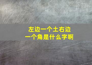 左边一个土右边一个角是什么字啊