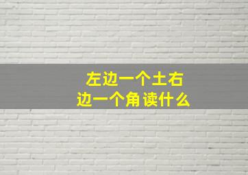 左边一个土右边一个角读什么