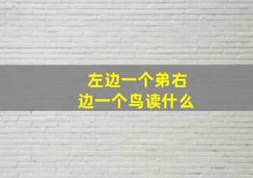 左边一个弟右边一个鸟读什么