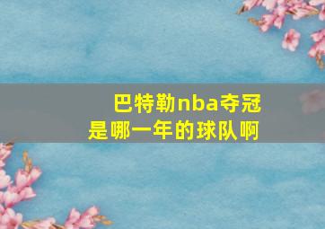 巴特勒nba夺冠是哪一年的球队啊