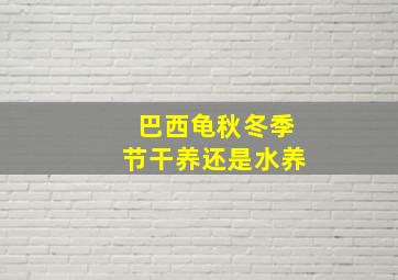 巴西龟秋冬季节干养还是水养