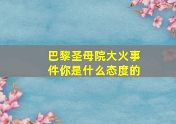 巴黎圣母院大火事件你是什么态度的