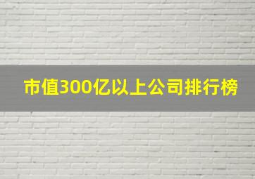 市值300亿以上公司排行榜