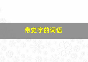 带史字的词语