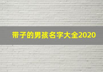 带子的男孩名字大全2020