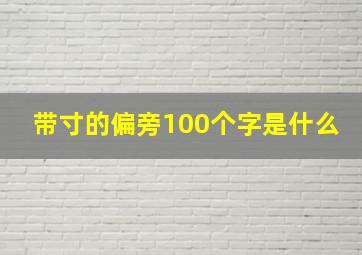 带寸的偏旁100个字是什么