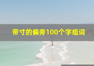 带寸的偏旁100个字组词