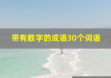 带有数字的成语30个词语