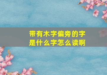 带有木字偏旁的字是什么字怎么读啊