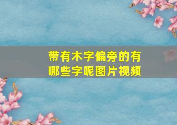 带有木字偏旁的有哪些字呢图片视频