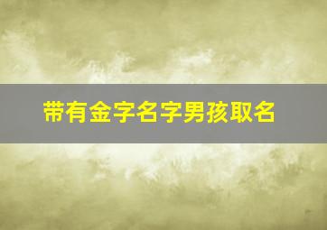 带有金字名字男孩取名