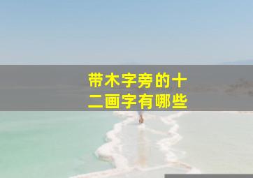 带木字旁的十二画字有哪些