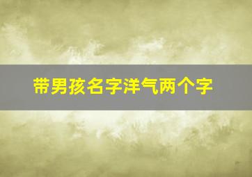 带男孩名字洋气两个字