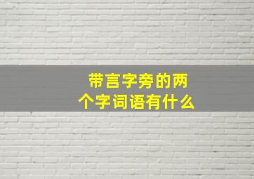 带言字旁的两个字词语有什么