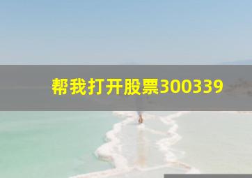 帮我打开股票300339