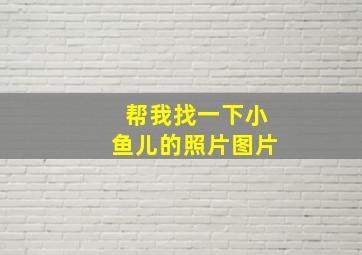 帮我找一下小鱼儿的照片图片