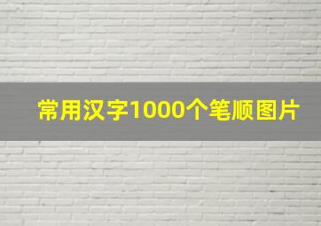 常用汉字1000个笔顺图片