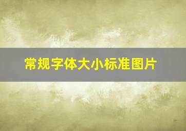 常规字体大小标准图片