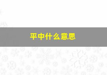 平中什么意思