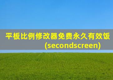 平板比例修改器免费永久有效饭(secondscreen)