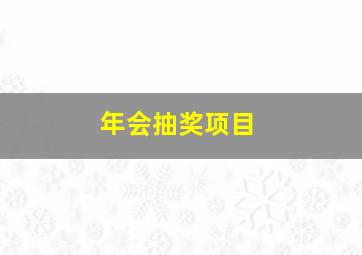 年会抽奖项目