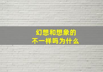 幻想和想象的不一样吗为什么