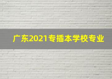 广东2021专插本学校专业