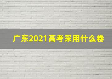 广东2021高考采用什么卷