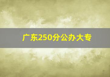 广东250分公办大专