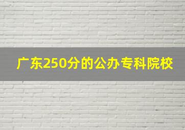 广东250分的公办专科院校