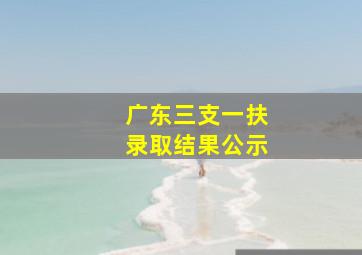 广东三支一扶录取结果公示