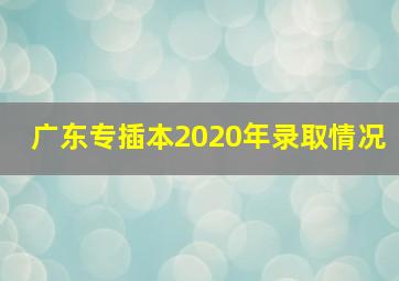 广东专插本2020年录取情况