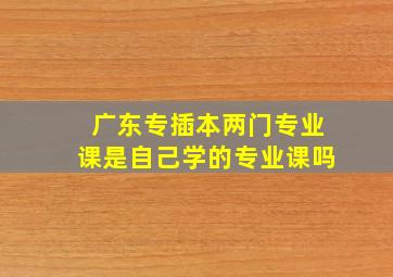 广东专插本两门专业课是自己学的专业课吗