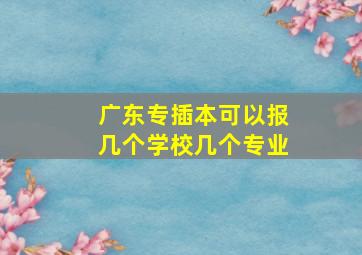 广东专插本可以报几个学校几个专业