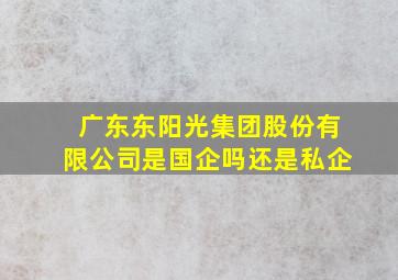 广东东阳光集团股份有限公司是国企吗还是私企