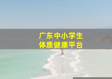 广东中小学生体质健康平台