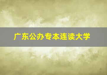 广东公办专本连读大学