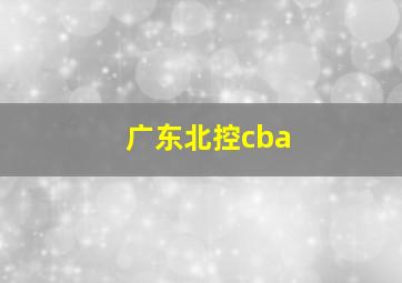 广东北控cba