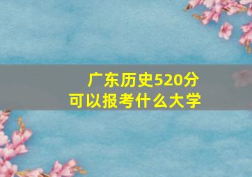 广东历史520分可以报考什么大学