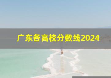 广东各高校分数线2024