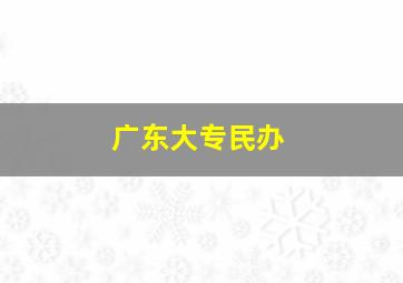 广东大专民办