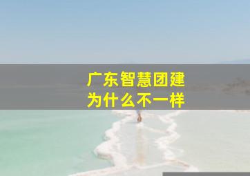 广东智慧团建为什么不一样