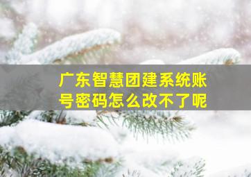 广东智慧团建系统账号密码怎么改不了呢