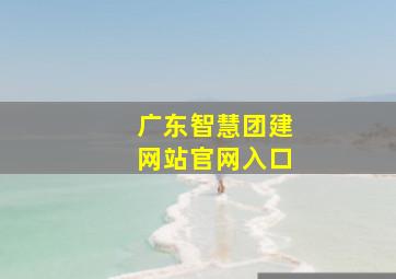 广东智慧团建网站官网入口