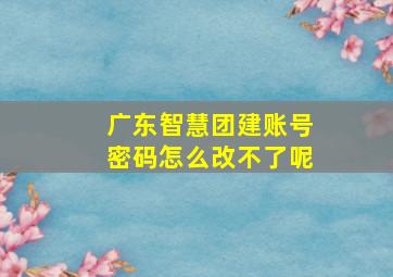 广东智慧团建账号密码怎么改不了呢