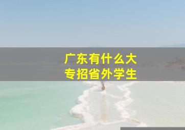 广东有什么大专招省外学生