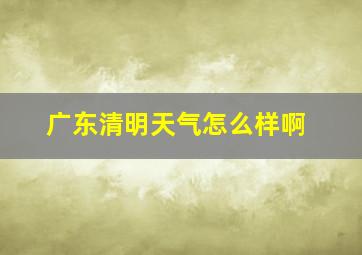 广东清明天气怎么样啊