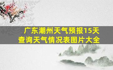 广东潮州天气预报15天查询天气情况表图片大全