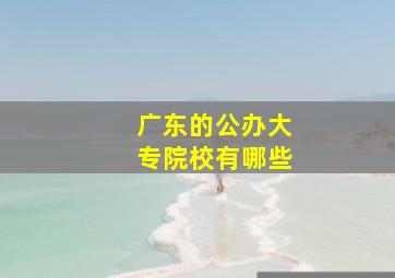 广东的公办大专院校有哪些